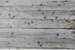 Photo Textures of Wood Planks